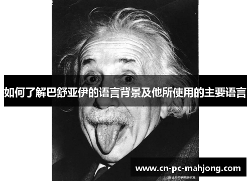 如何了解巴舒亚伊的语言背景及他所使用的主要语言