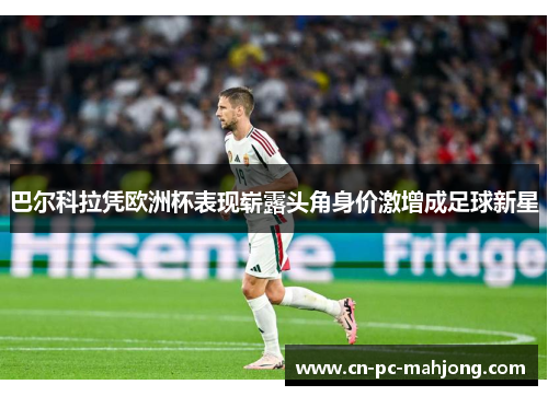 巴尔科拉凭欧洲杯表现崭露头角身价激增成足球新星 巴尔科拉凭欧洲杯表现崭露头角身价激增成足球新星